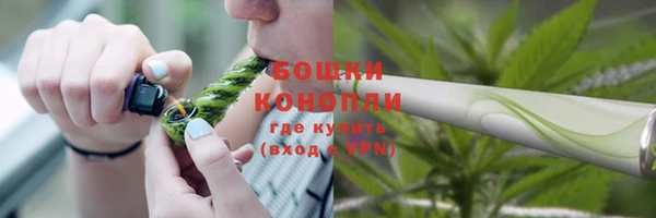 хмурый Козловка