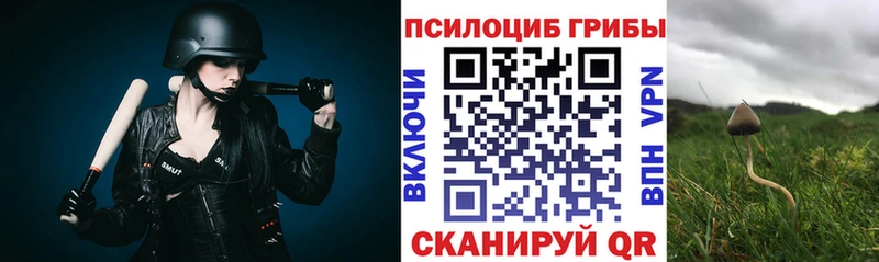 Псилоцибиновые грибы Psilocybe  МЕГА как войти  Любань 